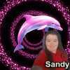 Sandy