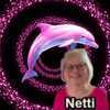 Netti